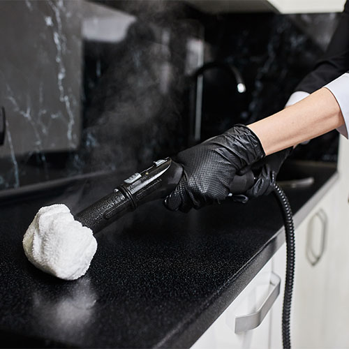 500px_0006_l’excellence - cleaning-service-company-employee-rubber-gloves-remove-dirt-from-work-top-using-professional-s