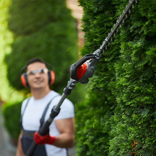 500px_0015_JARDINIER - man-uniform-trimming-hedge-summer-time-500px.jpeg